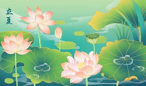 最好的夏天,探寻最佳夏日的无限魅力